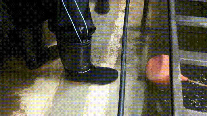 夏日高温来袭 探访清凉背后的守护者