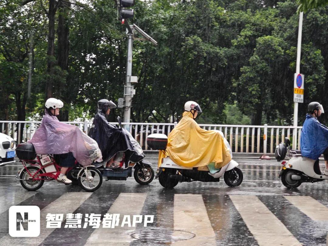最新！福建暴雨预警再升级！关注交通、景区情况>>