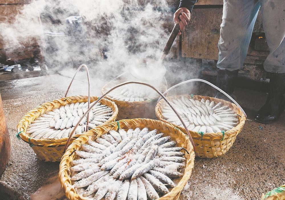 连江：夏日鳀鱼加工忙