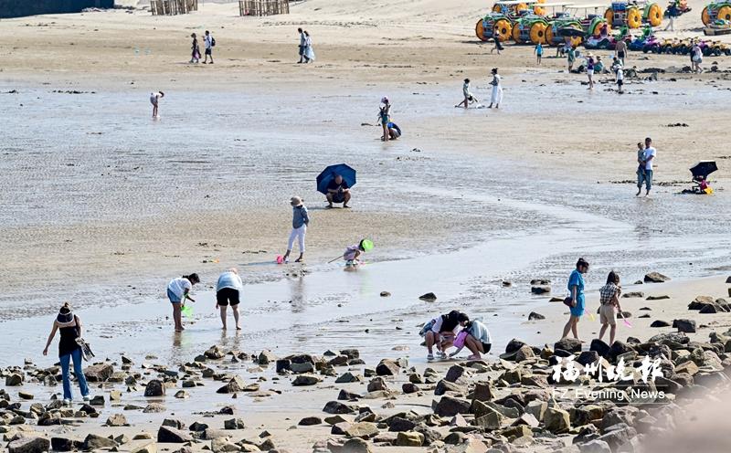 下沙：海滨拾趣，长乐一夏