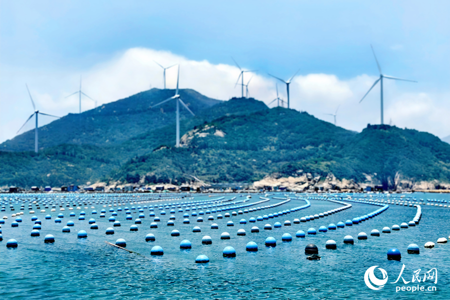 人民网聚焦福州：这片“海上牧场” “鲍”发力十足