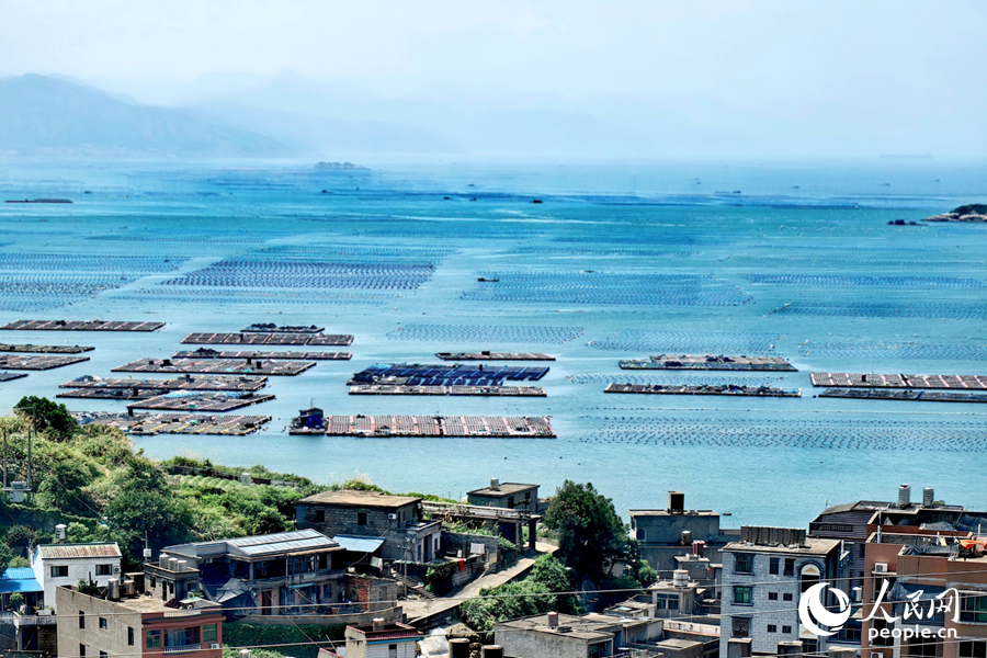 人民网聚焦福州：这片“海上牧场” “鲍”发力十足