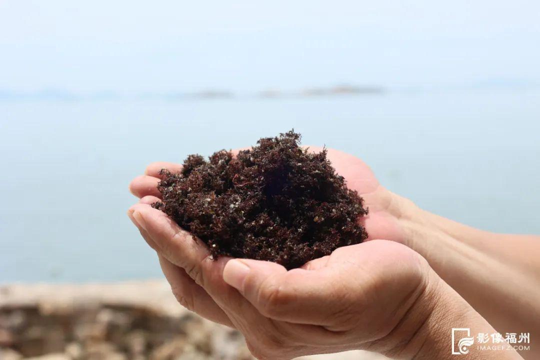 大暑时节，福州人都吃点啥？