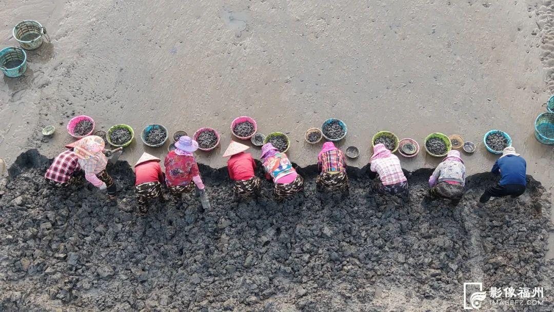 大暑时节，福州人都吃点啥？