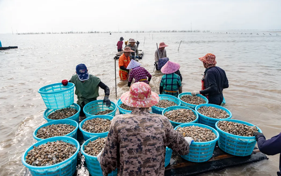 大暑时节，福州人都吃点啥？