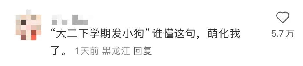 “大几发小狗？”“好像是大二下学期！”