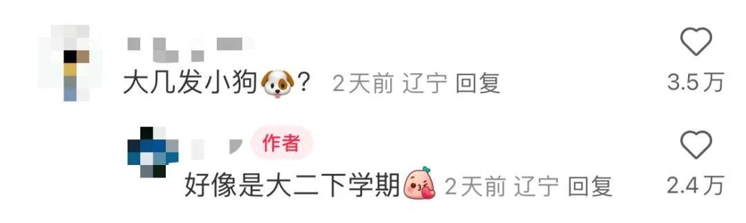 “大几发小狗？”“好像是大二下学期！”