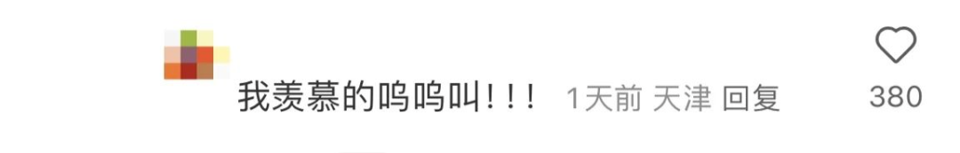 “大几发小狗？”“好像是大二下学期！”