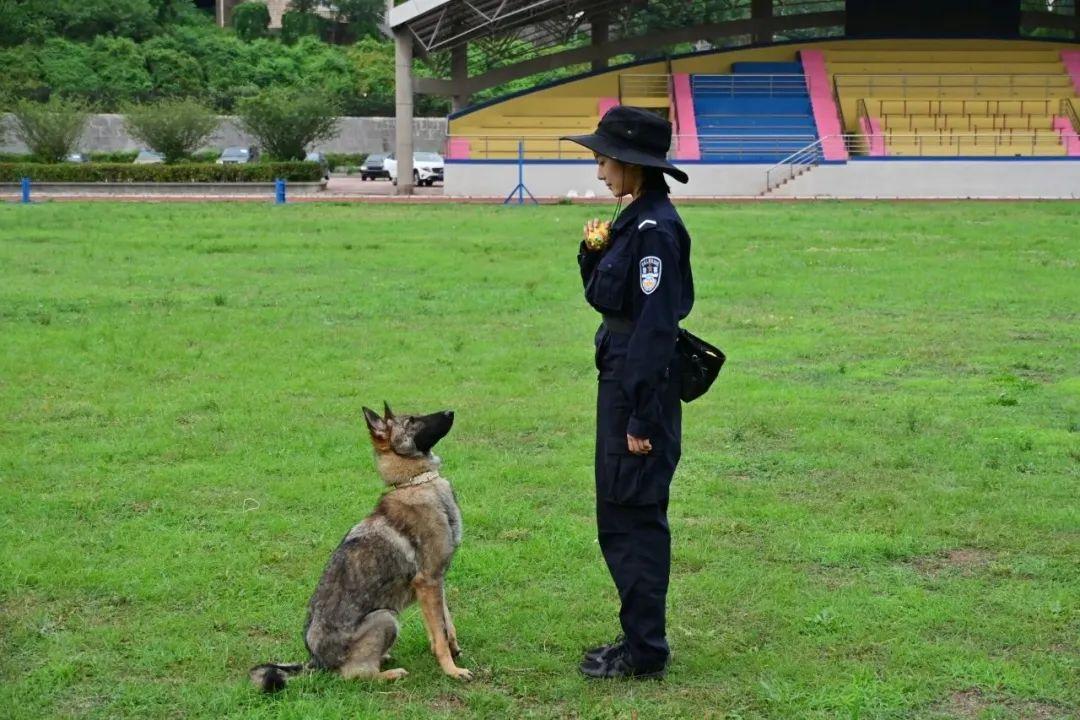 “大几发小狗？”“好像是大二下学期！”
