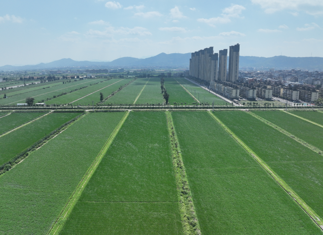 高标准农田建设，福州有哪些做法与经验？