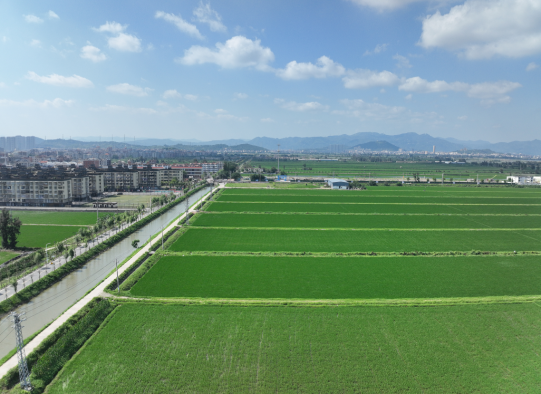 高标准农田建设，福州有哪些做法与经验？