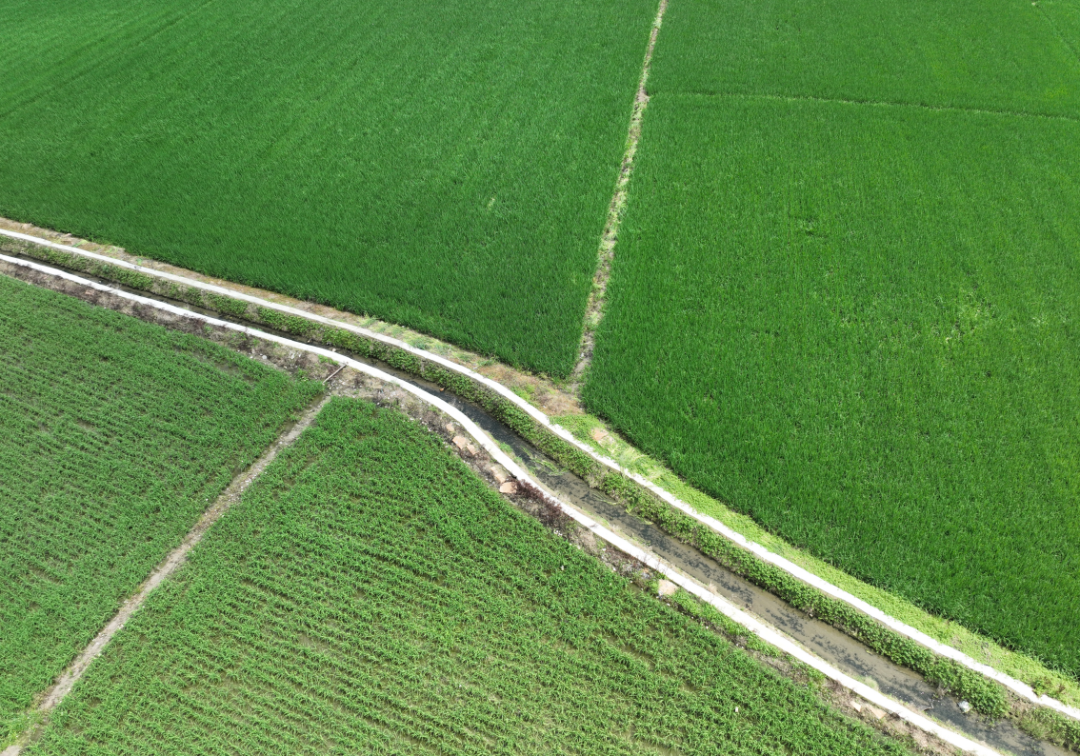 什么是高标准农田灌溉 570201_affd8d9d-8d75-47c7-bb51-b8256c9323f5.png