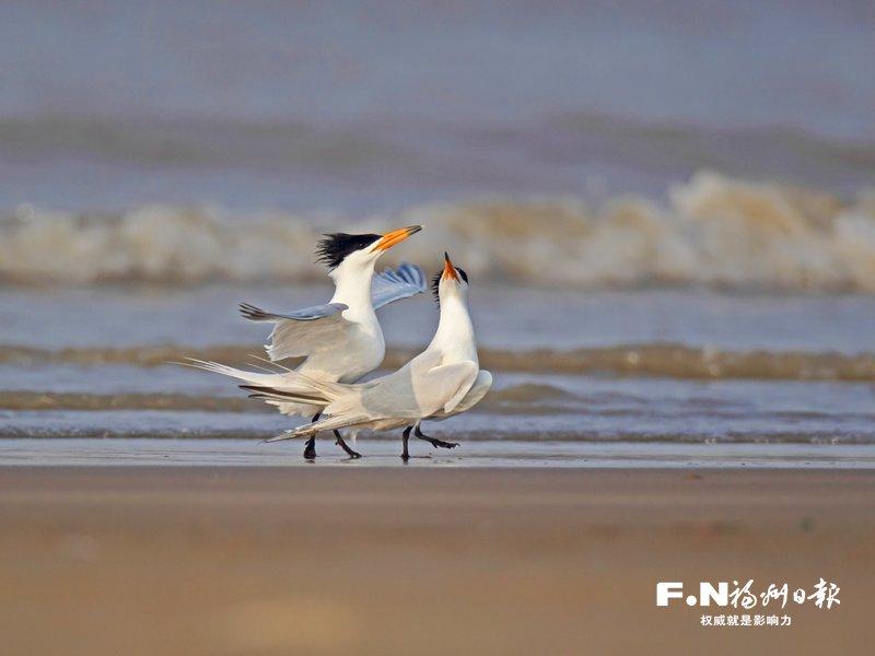 湿地之城福州向世界递交“生态诗篇”