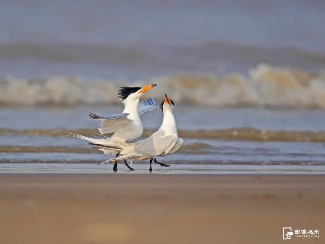 福建首个！福州再添世界级名片！