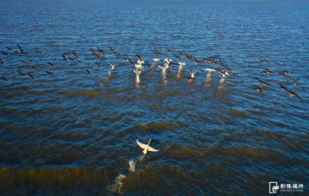 福建首个！福州再添世界级名片！