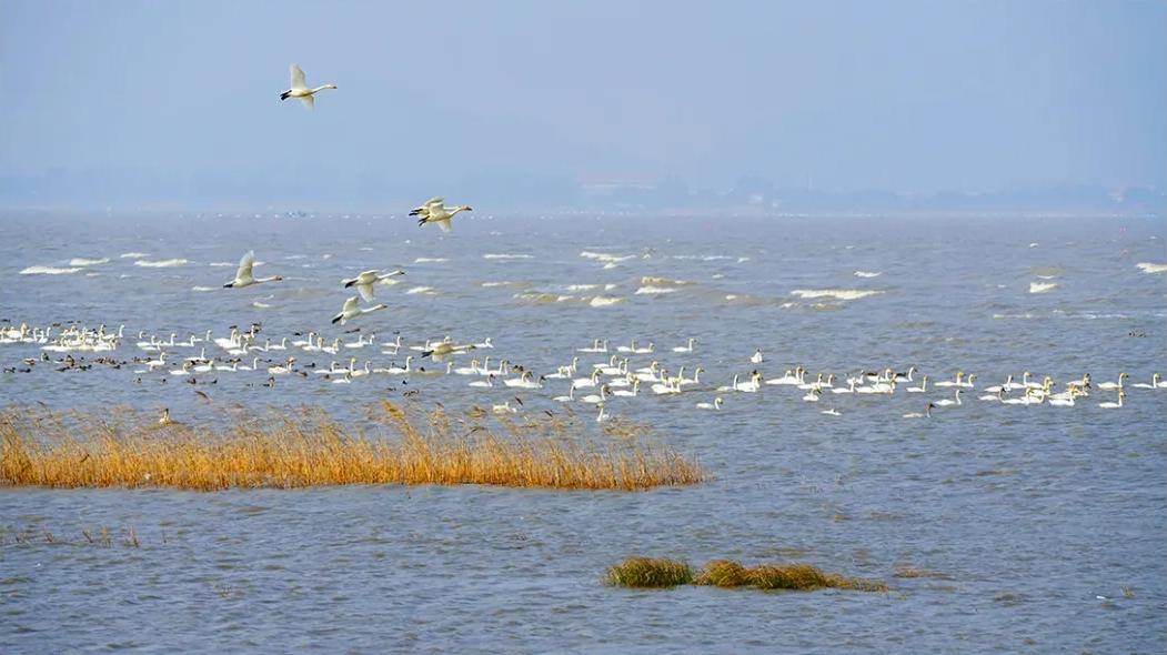 福建首个！福州再添世界级名片！
