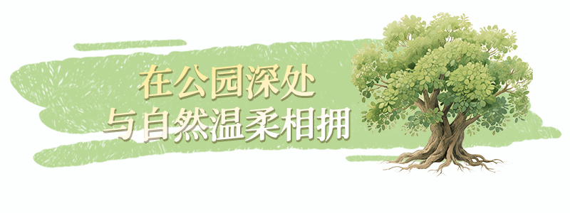 故乡回响！跟着陈昊宇游福州