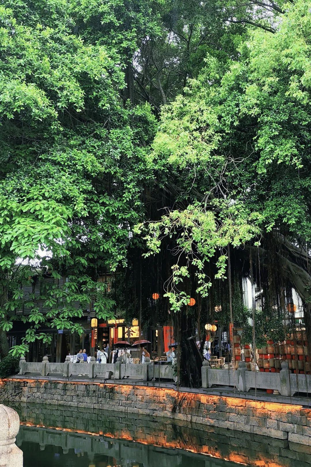 故乡回响！跟着陈昊宇游福州