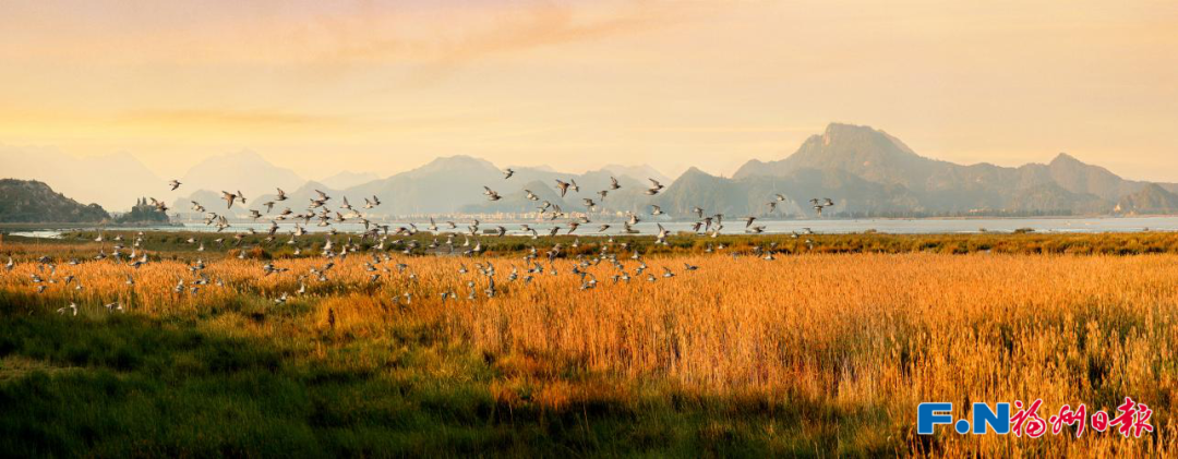 国际湿地城市！福州再获世界级荣誉