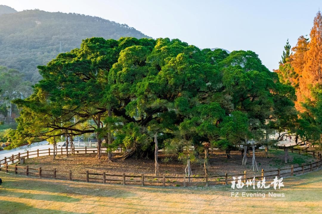 央视报道福州创新实践——城市发展兼顾生态保护