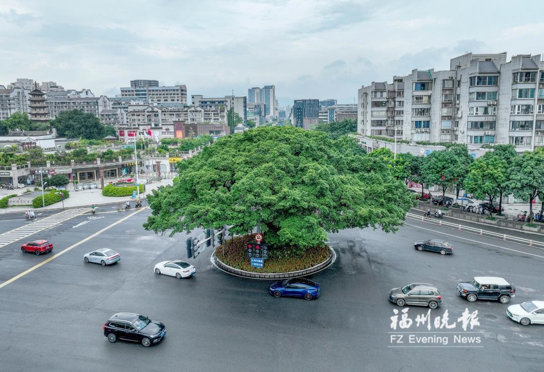 央视报道福州创新实践——城市发展兼顾生态保护