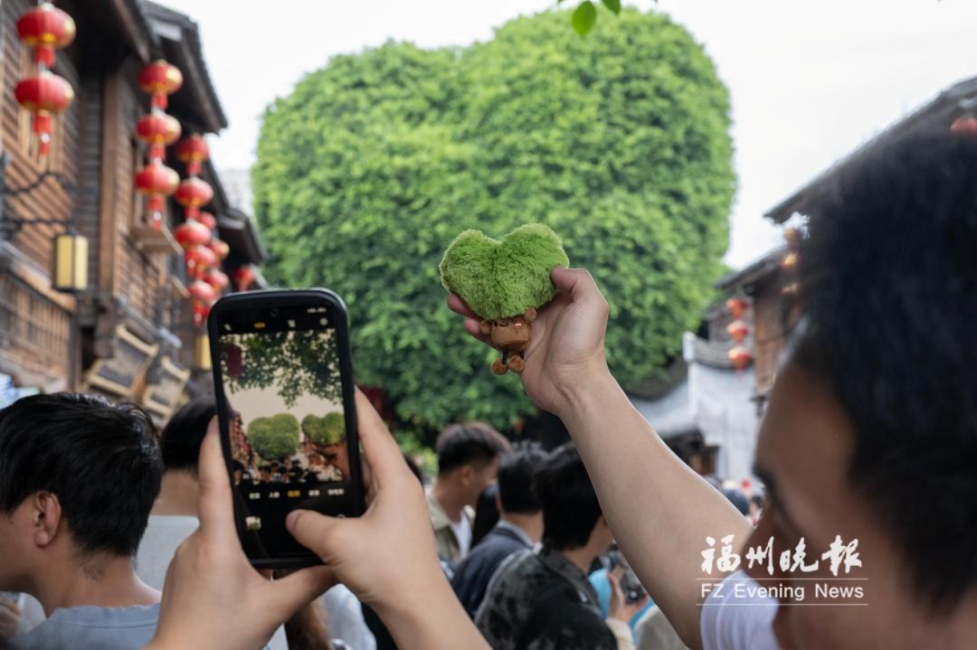 央视报道福州创新实践——城市发展兼顾生态保护