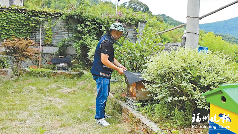 罗源东园亭村“甜蜜共富”