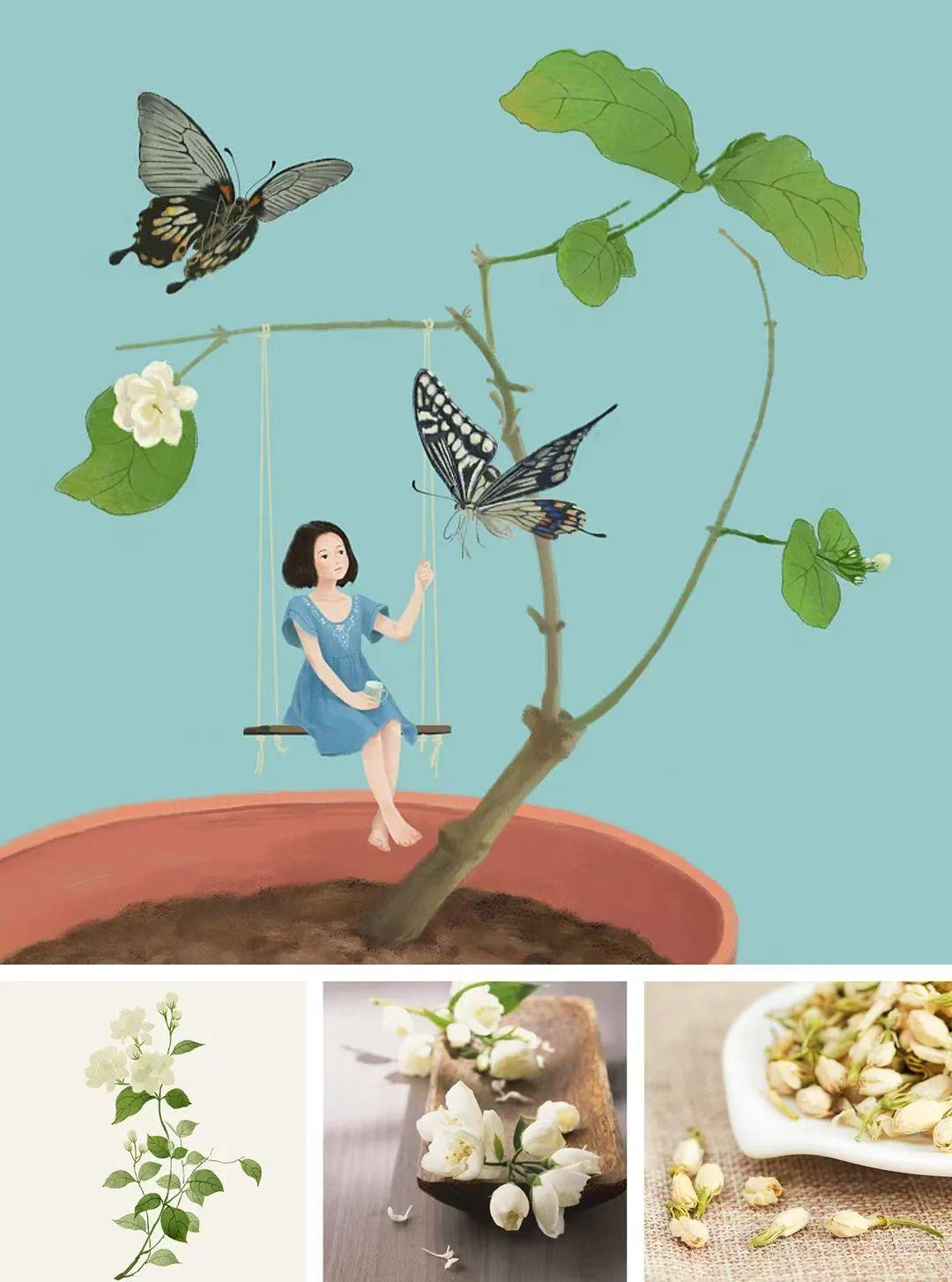 从波斯到福州，一朵东方茉莉的诗意栖居与现代传承