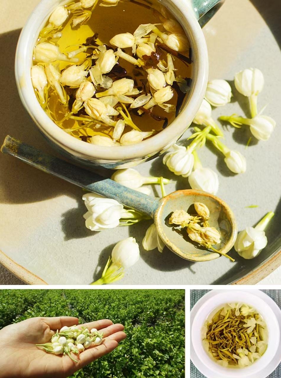 从波斯到福州，一朵东方茉莉的诗意栖居与现代传承