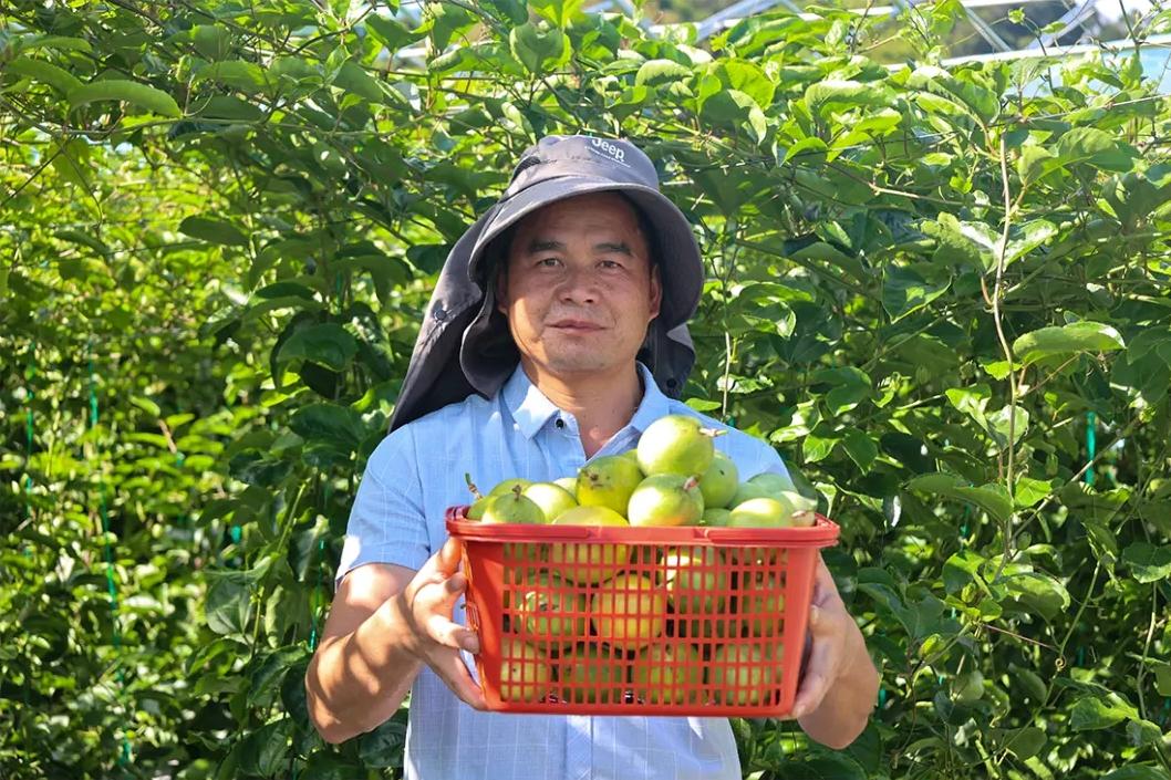 福州夏之“丰”味！尝鲜正当时！