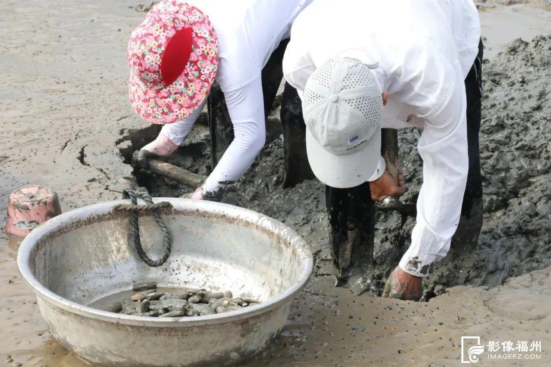 福州夏之“丰”味！尝鲜正当时！