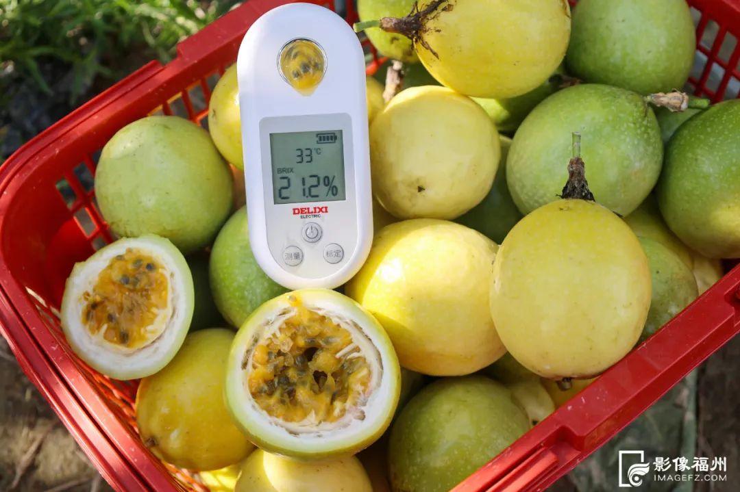 福州夏之“丰”味！尝鲜正当时！