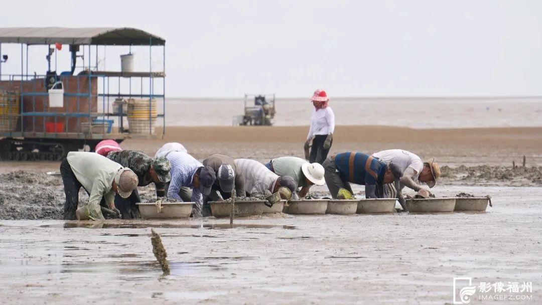 福州夏之“丰”味！尝鲜正当时！