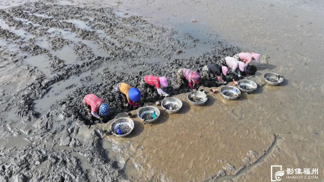 福州夏之“丰”味！尝鲜正当时！