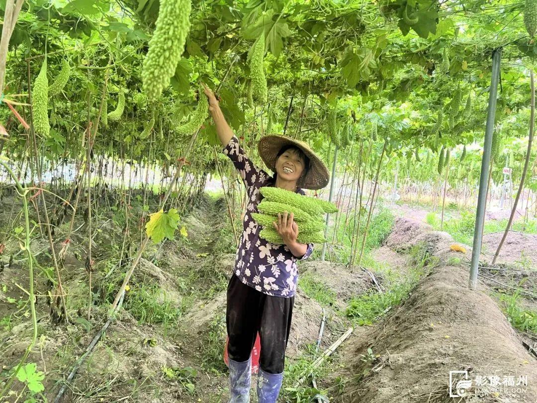 福州夏之“丰”味！尝鲜正当时！