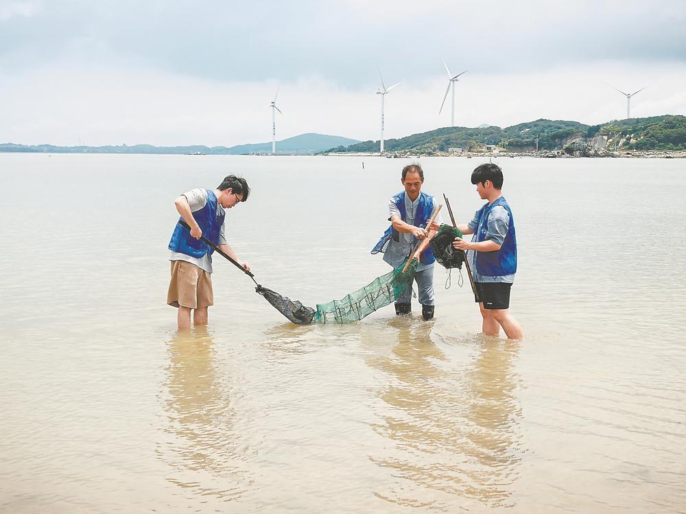 为保护中国鲎，他们自主延长休渔期