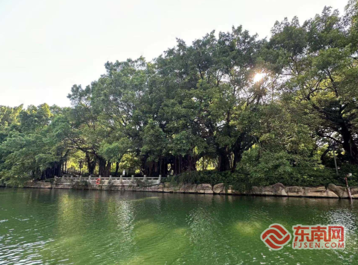 久久为功 福州生态画卷的蜕变之路