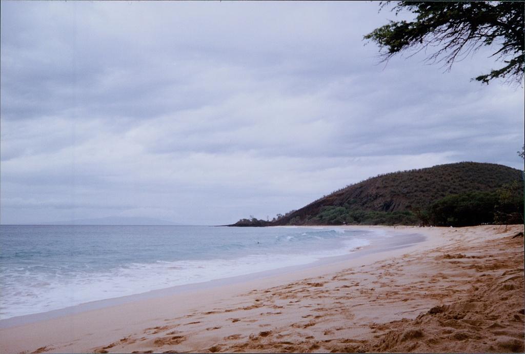 堪察加东岸远海发生强烈地震 全球多地发布海啸预警