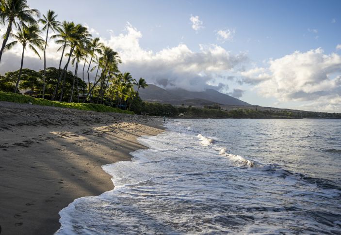 滚动更新｜日本岩手县观测到浪高1.3米海啸