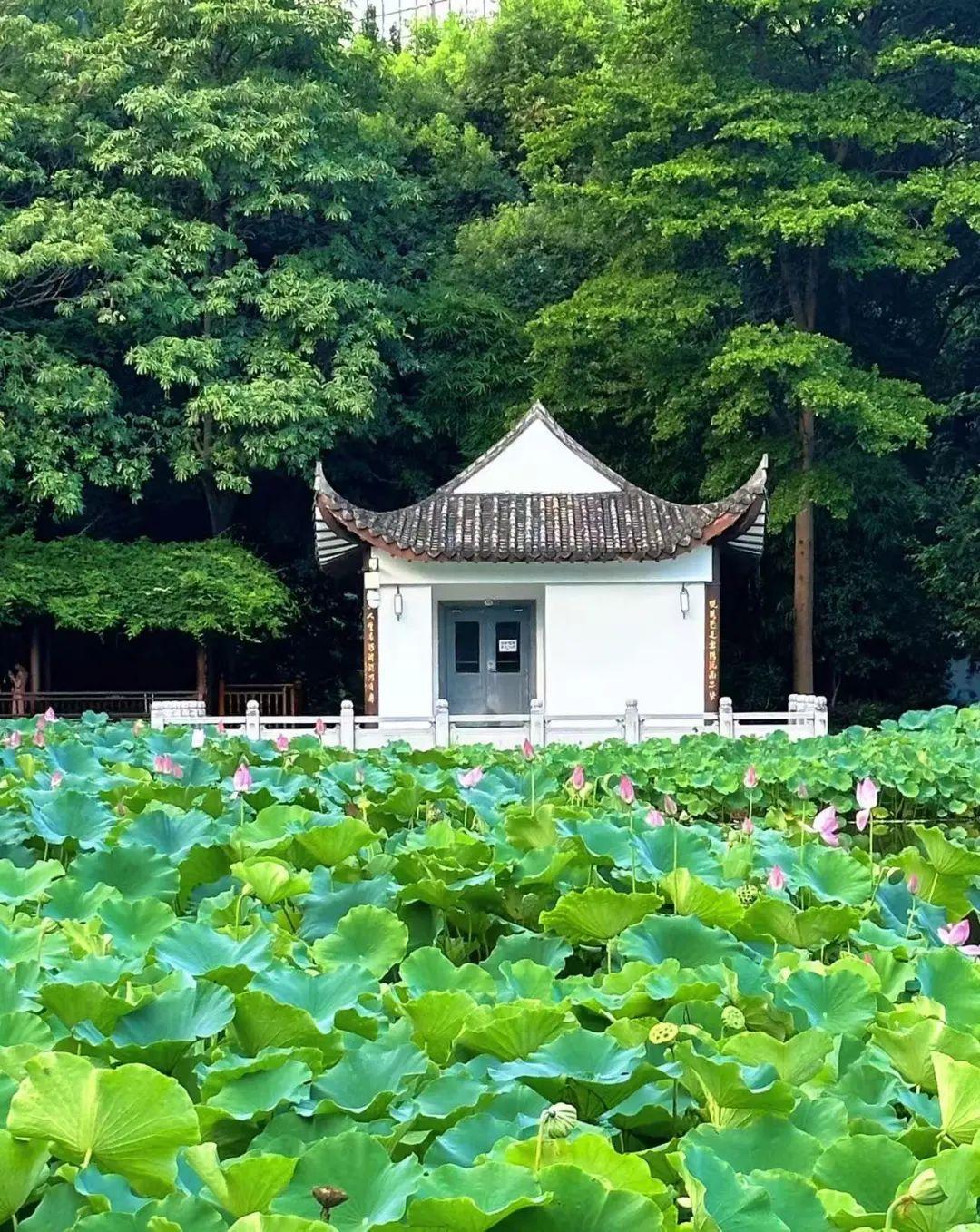 玩转福州，地铁直达！