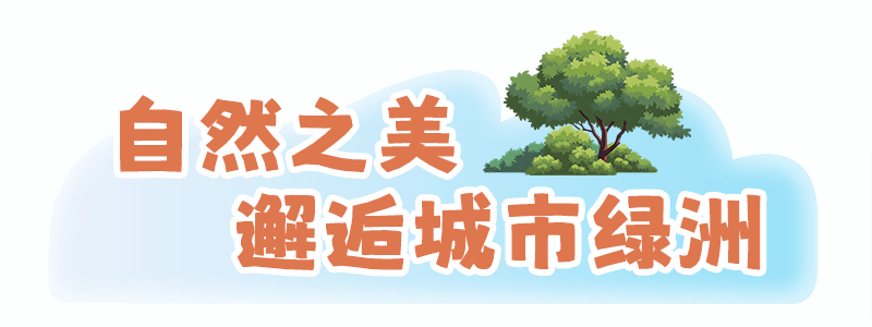 玩转福州，地铁直达！