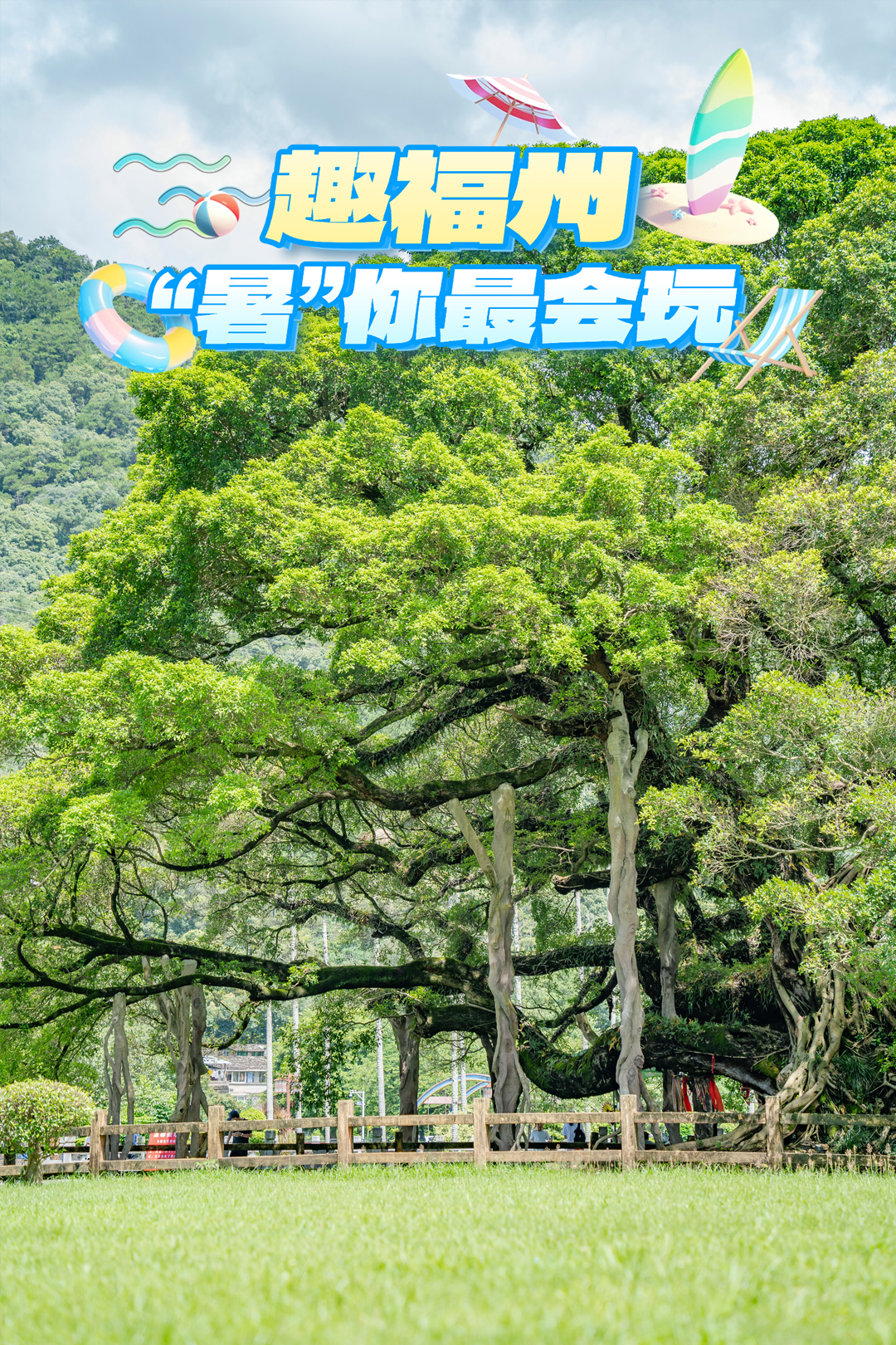 福州，引以为“榕”