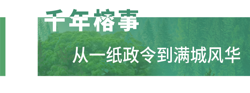 福州，引以为“榕”