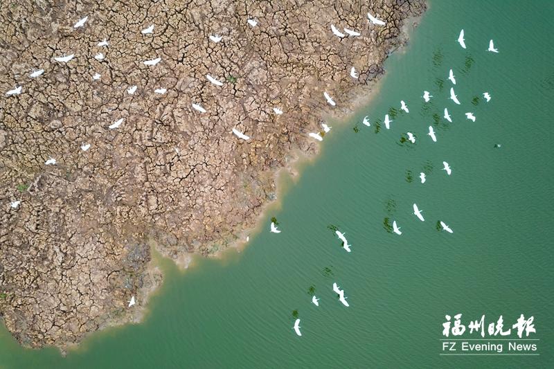 福州何以荣膺国际湿地城市？