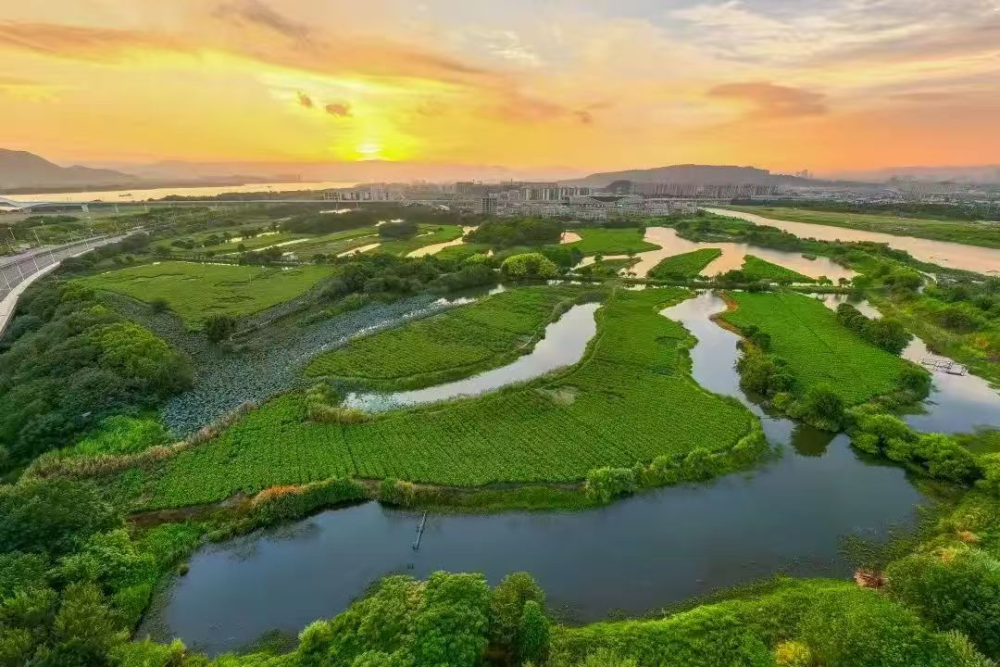 水韵福州：一座城市与湿地的诗意共生
