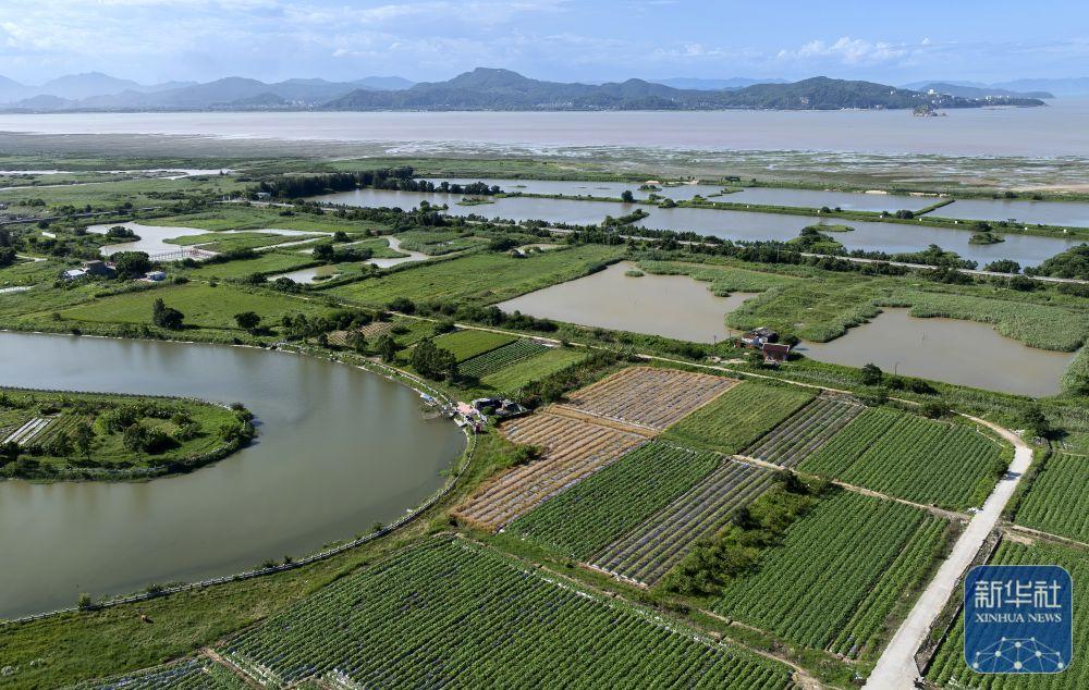 新华社关注福州：湿地之城 生态画卷