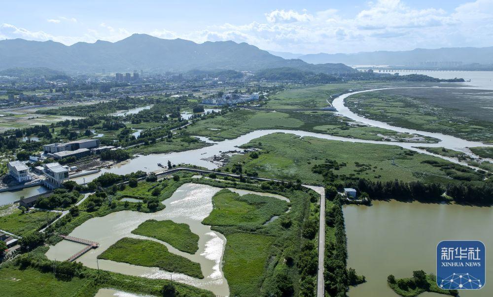 新华社关注福州：湿地之城 生态画卷