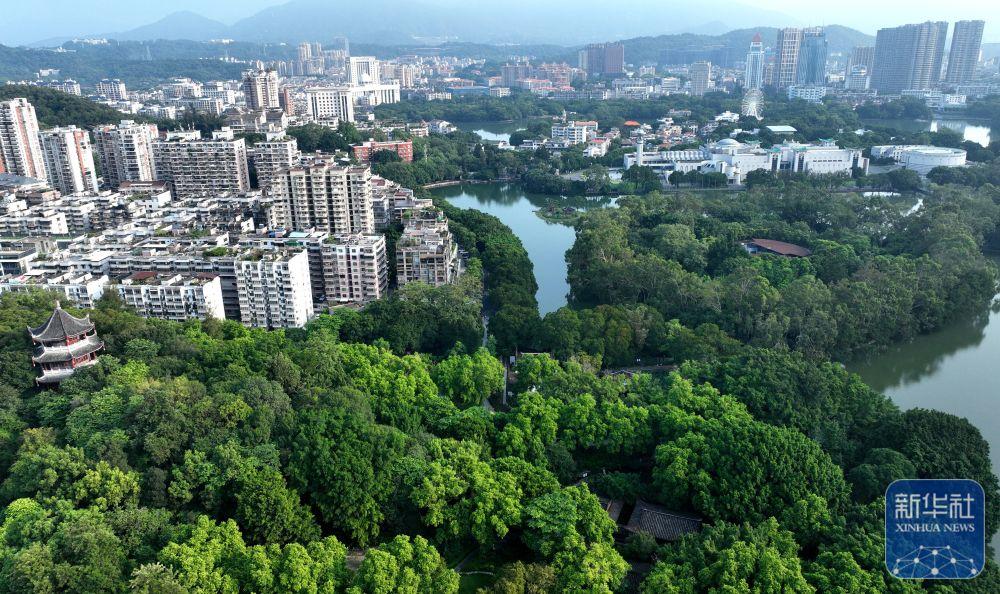 新华社关注福州：湿地之城 生态画卷