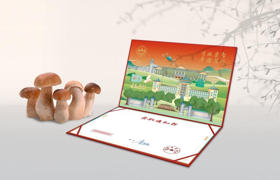 吉林一高校通知书能做小鸡炖蘑菇