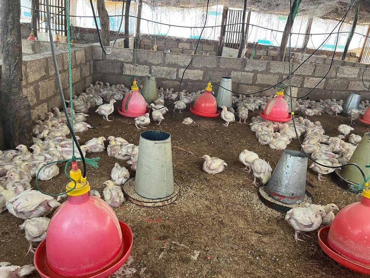 57岁中国农场主在赞比亚失踪近30天确认遇害